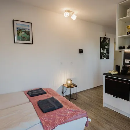 Apartament 24-7 Living Passau - Cozy - Balcony - Kitchen